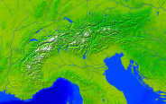 Alpen Vegetation 800x504